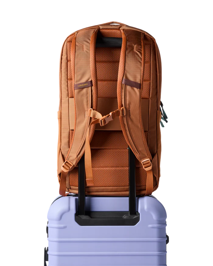 Allpa 26L Daypack - Whiskey thumbnail 6