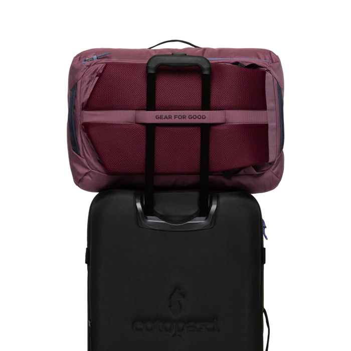 Allpa 35L Travel Pack - Fig thumbnail 7