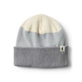 Alto 2.0 Beanie - Smoke and Vapor