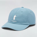 Cotopaxi Dad Hat Sea Spray