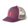 Llama Trucker Hat - Mystic
