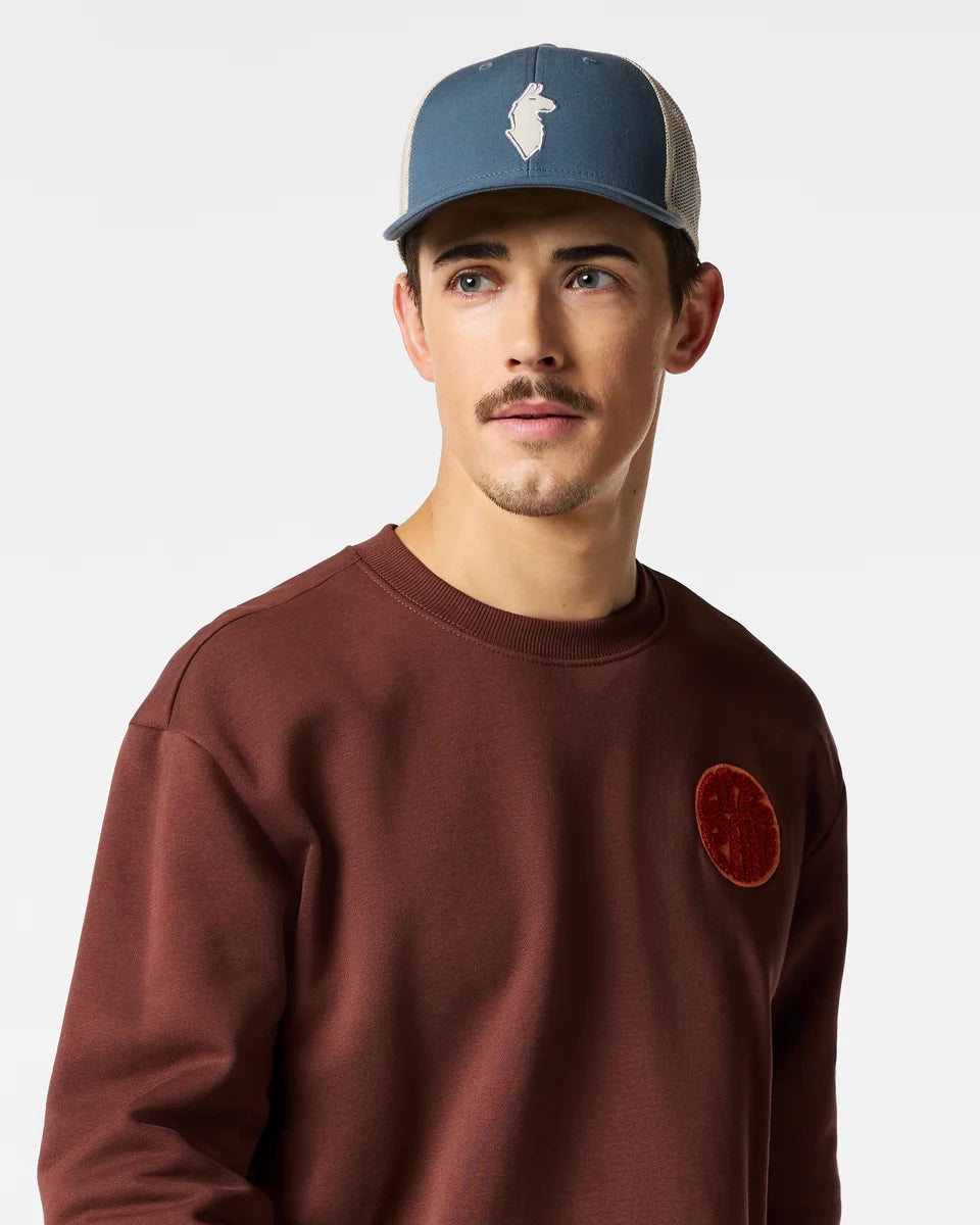 Llama Trucker Hat - Slate 2