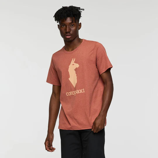 Cotopaxi Llama T- Faded Brick