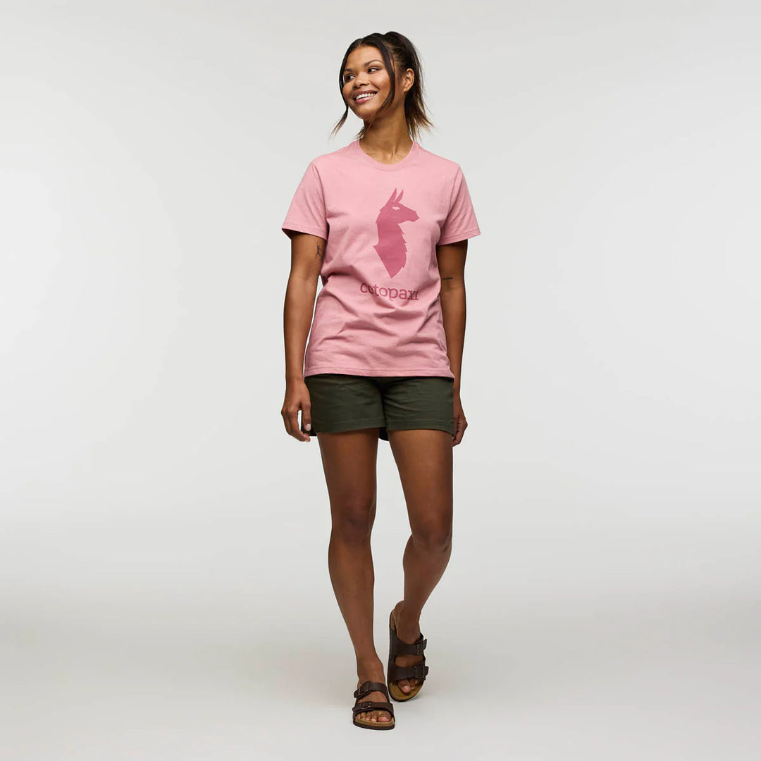 Cotopaxi Llama T- Rose 3