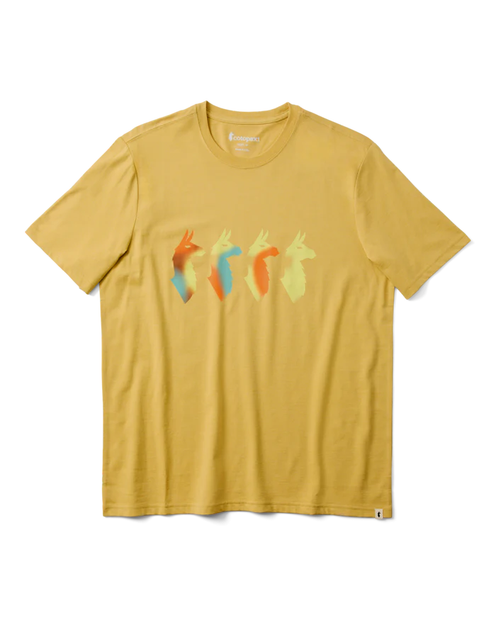 Cuatro Bitmap T-Shirt - Men's - Husk thumbnail 5