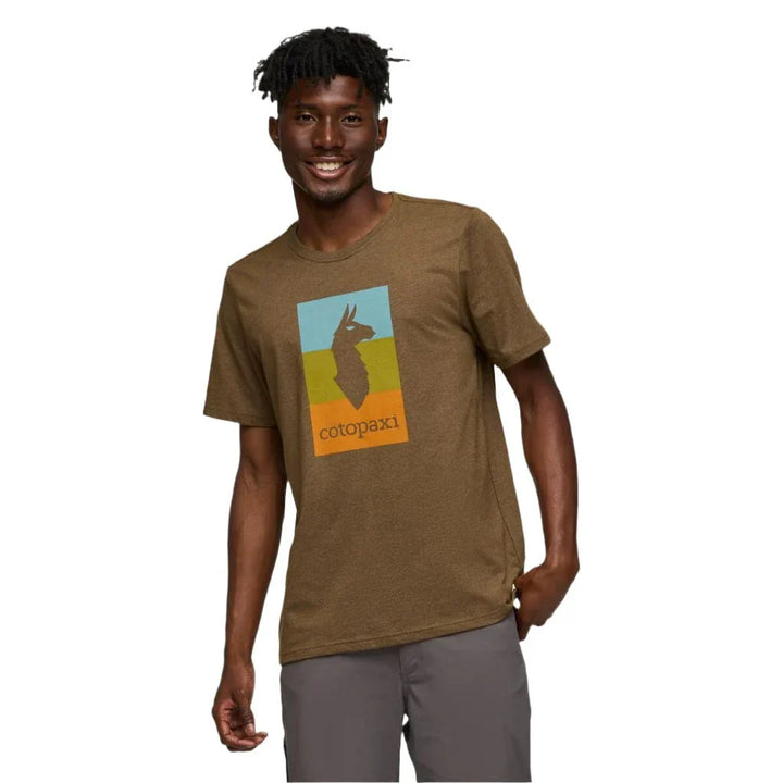 Llama Block T- Live Oak thumbnail