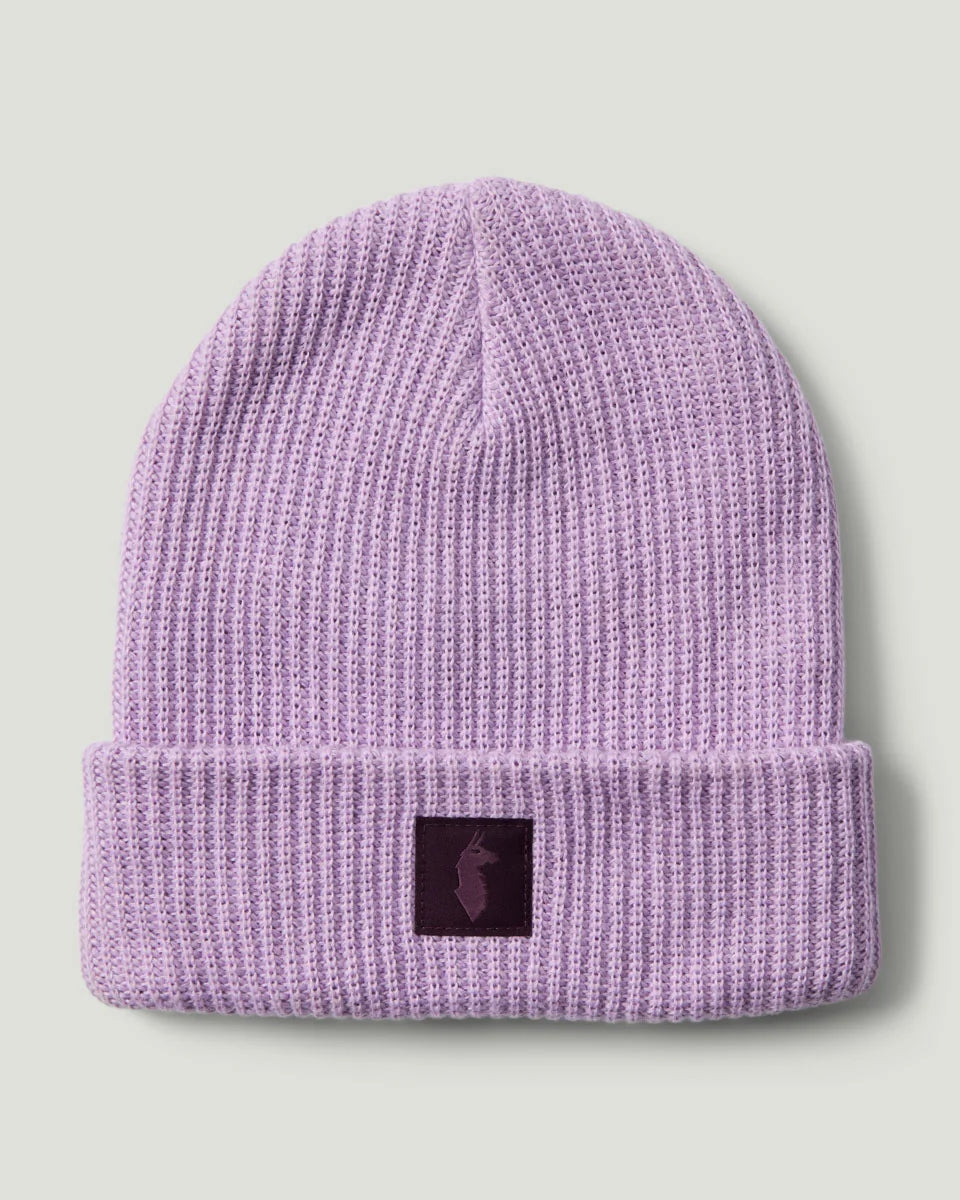 Wharf 2.0 Beanie - Moonbeam
